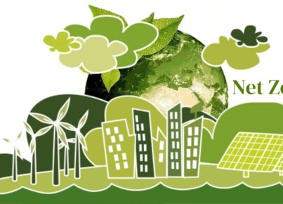 net-zero