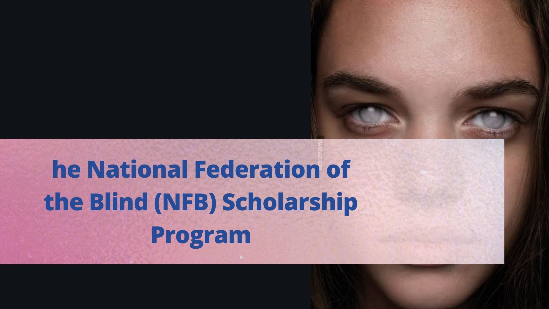 (NFB) Scholarship Program
