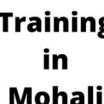 Profile picture of Mohit Mehta