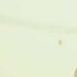 Profile picture of Sara Ahuja